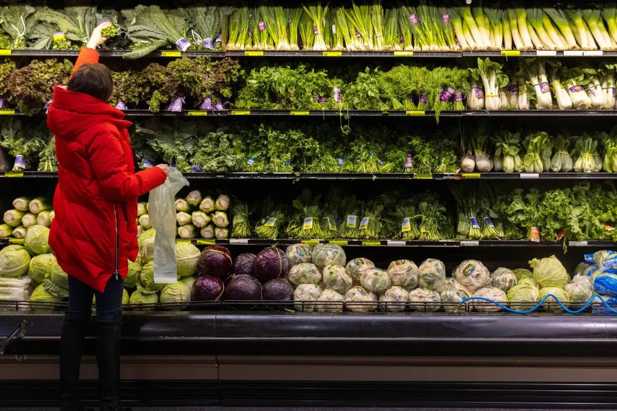 {title}