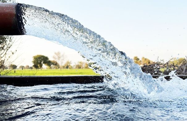{title}